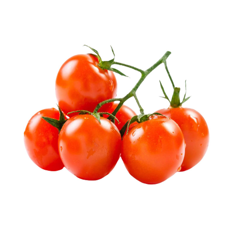 Cà chua bee ngọt hữu cơ